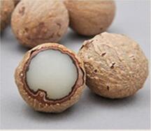 Bodhi Seed