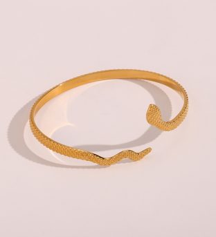 Snake Charm Open Bracelet